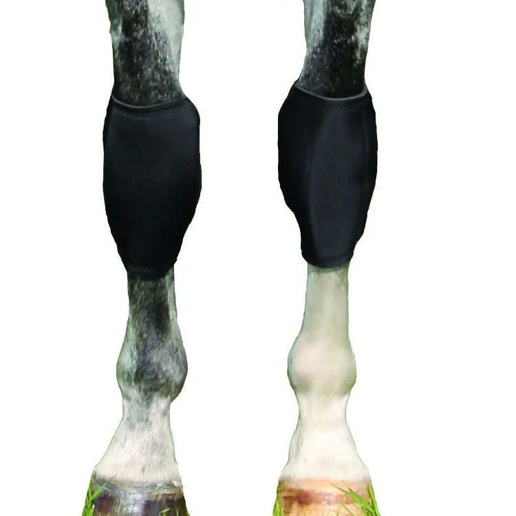 Back on Track Knee Boots (Pair) - Image 2