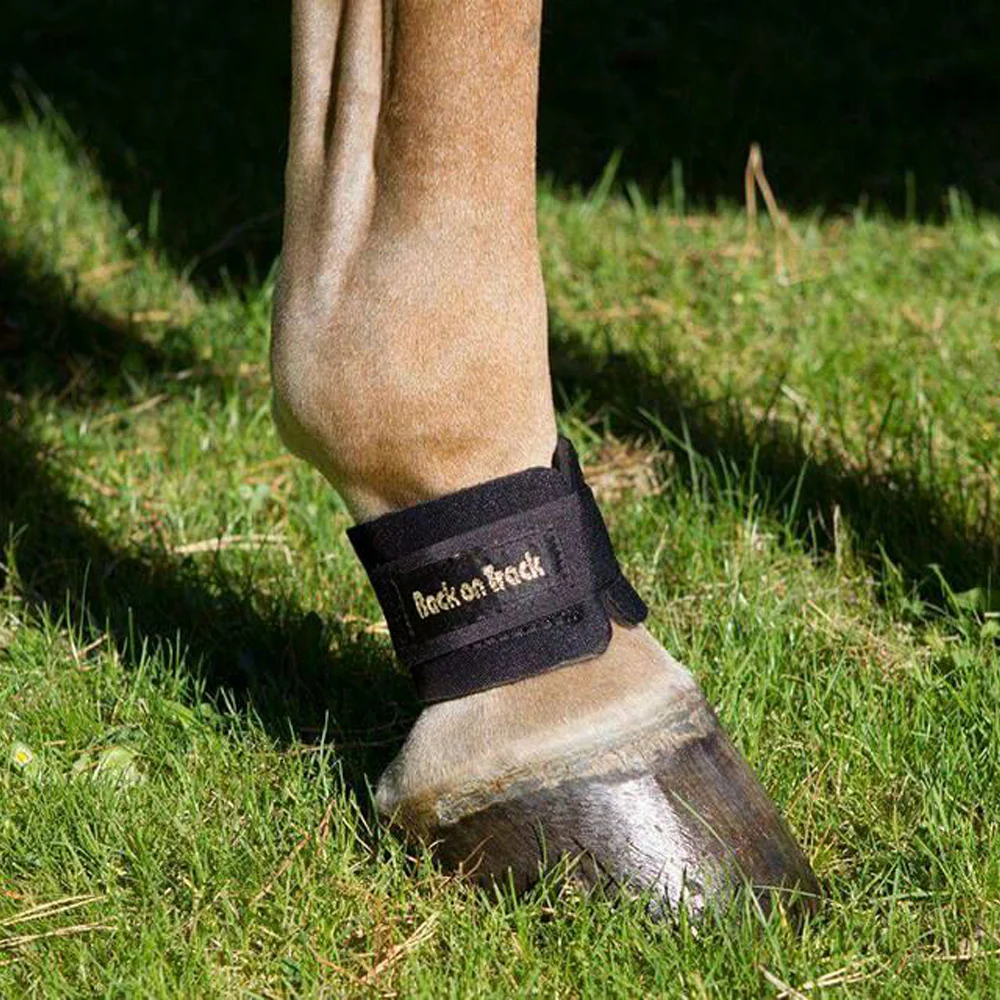 Back On Track Pastern Wrap - Image 3