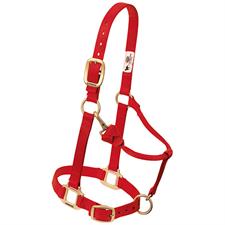 Weaver Leather Nylon Adjustable Draft Horse Halter 1" Average - Multiple Colours - Image 3