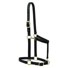 Weaver Leather Nylon Adjustable Draft Horse Halter, 1" - Large - Multiple Colours
