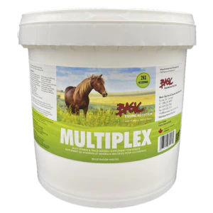 Basic Equine Multiplex