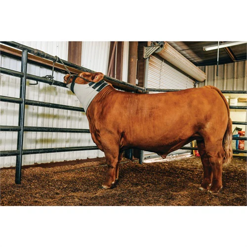 Weaver Cattle Cooling Neck Wrap - Image 2