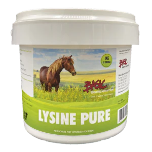 Basic Equine Lysine Pure 1KG