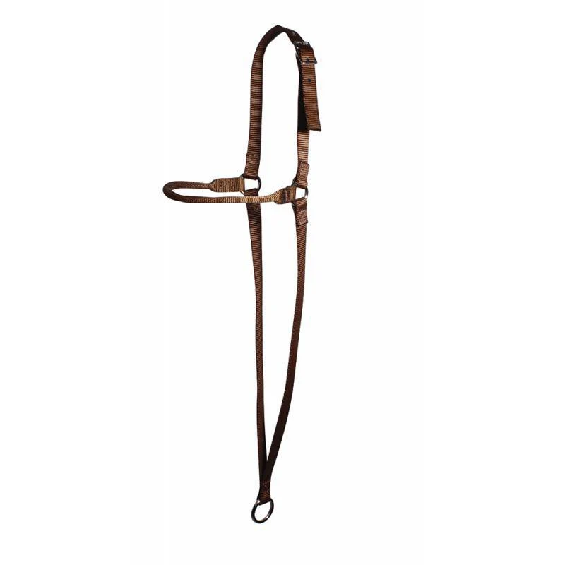 Professional's Choice War Bonnet Chocolate Webbing