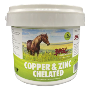 Basic Equine Copper & Zinc  1KG