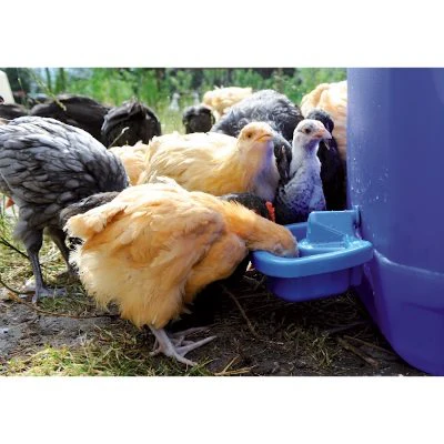 Chick' A Maxi Cup Drinker - 0.5L - Image 2