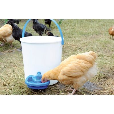 Chick' A Maxi Cup Drinker - 0.5L - Image 3