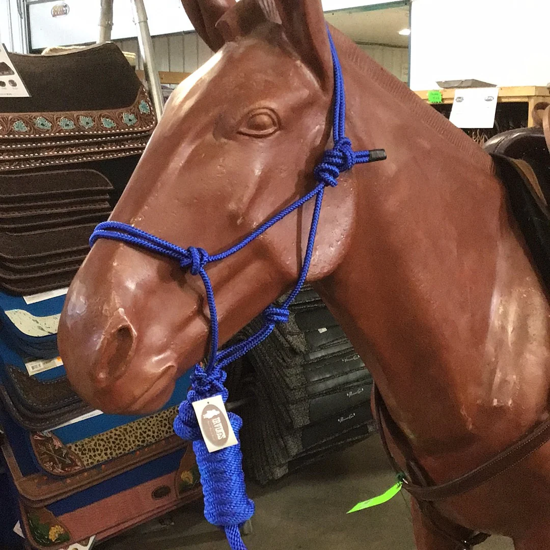 Irvine Diamond Mountain Halter 5/16" w/8' Lead - Image 2