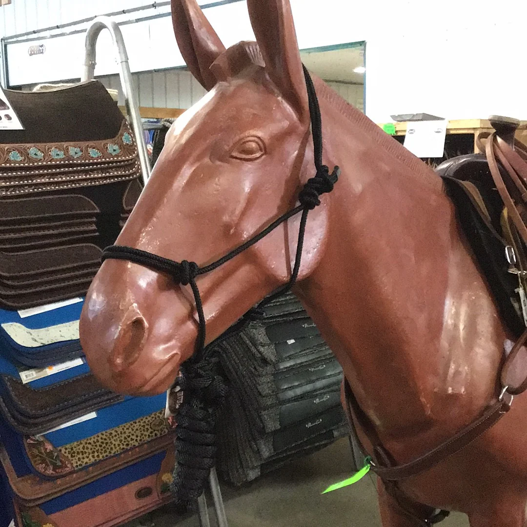 Irvine Diamond Mountain Halter 5/16" w/8' Lead - Image 3