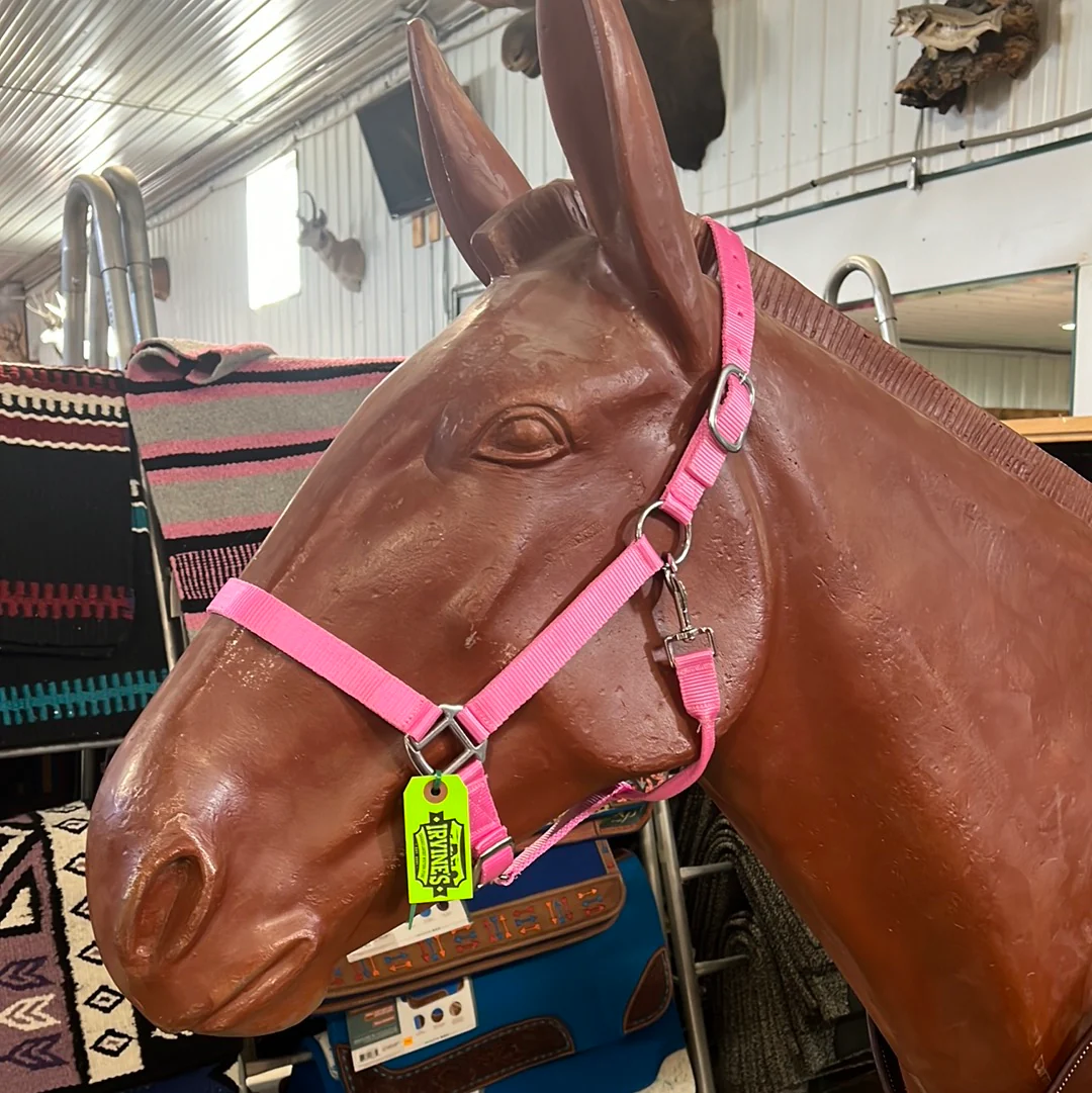 Irvine Nylon Adjustable Halter w/Snap - Image 4