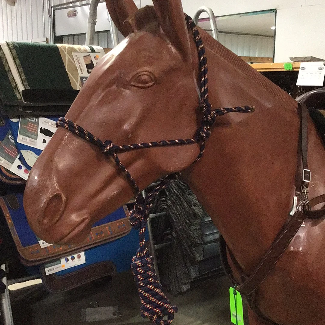 Irvine Rope Halter w/Matching Lead Rope - Image 12