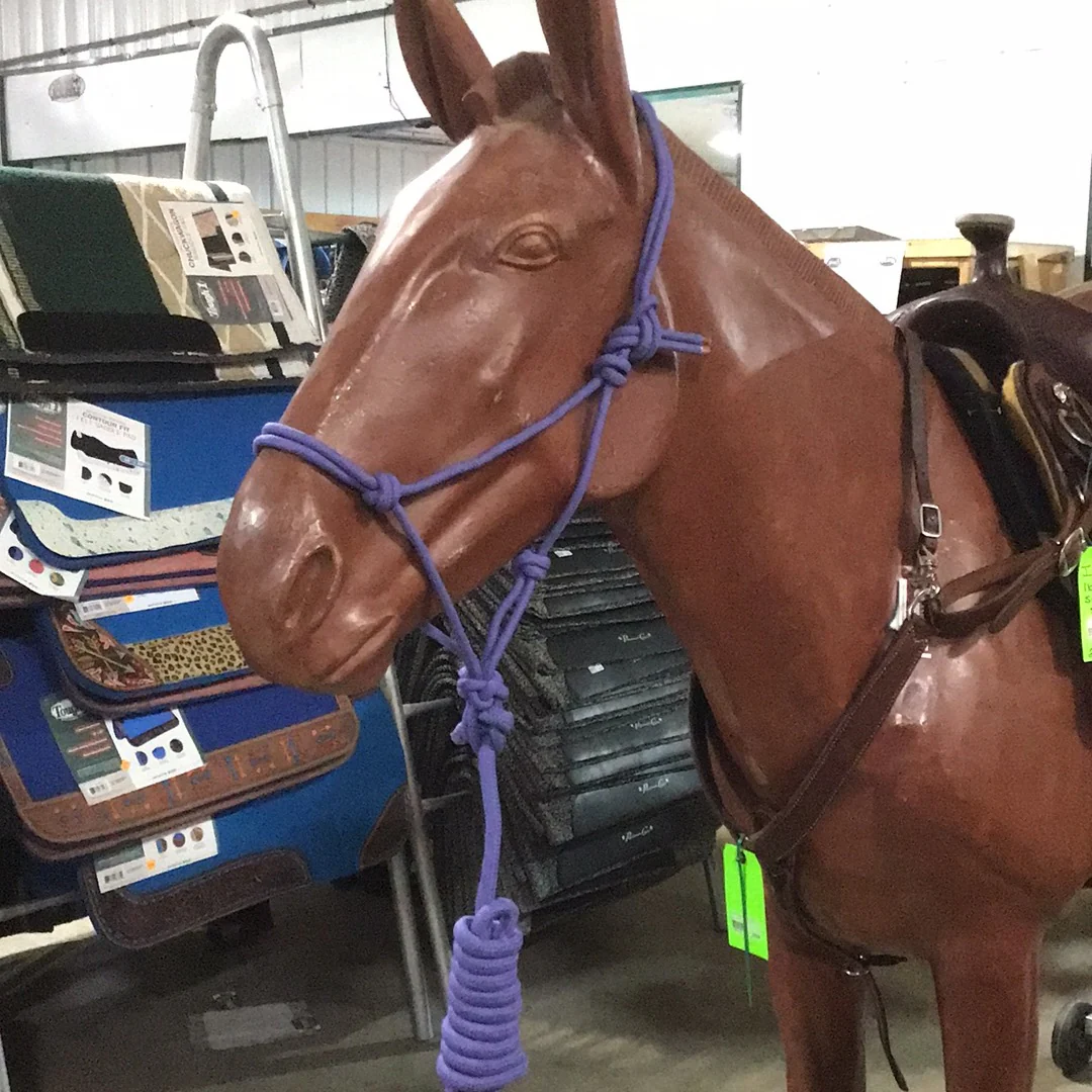 Irvine Rope Halter w/Matching Lead Rope - Image 13