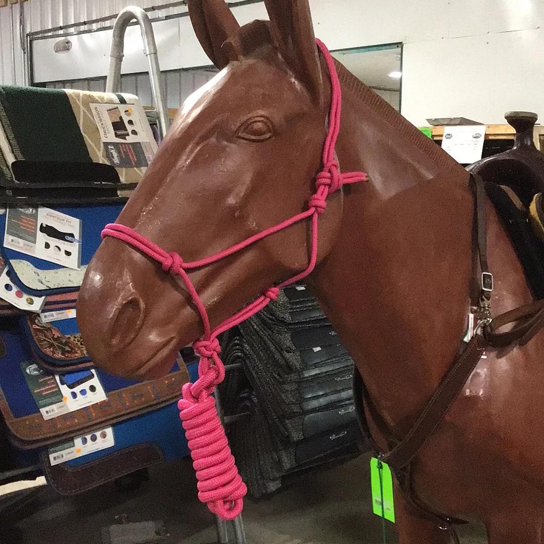 Irvine Rope Halter w/Matching Lead Rope - Image 16