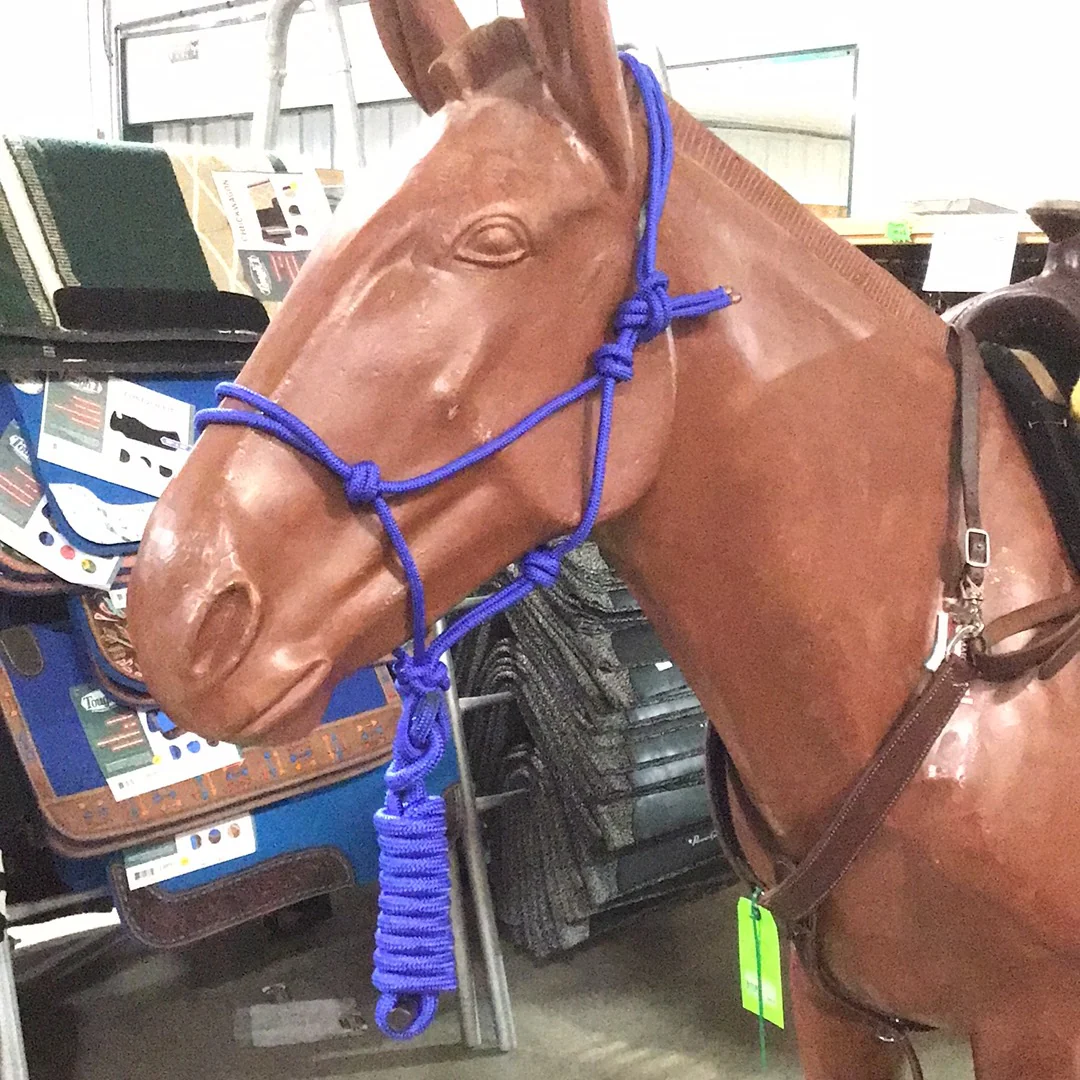 Irvine Rope Halter w/Matching Lead Rope - Image 18