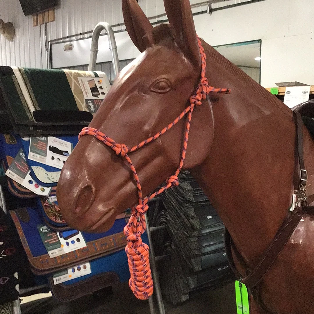 Irvine Rope Halter w/Matching Lead Rope - Image 19