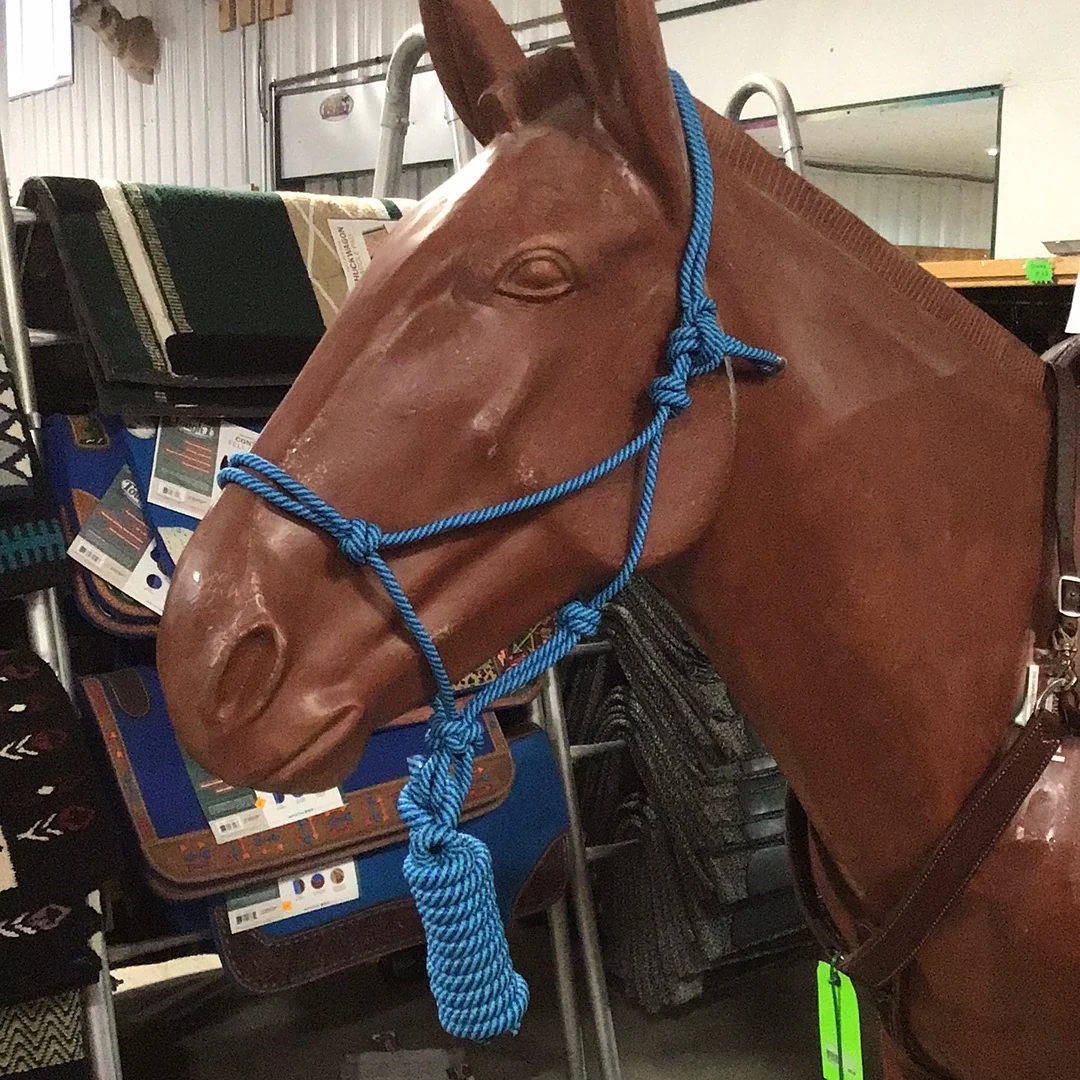 Irvine Rope Halter w/Matching Lead Rope - Image 20