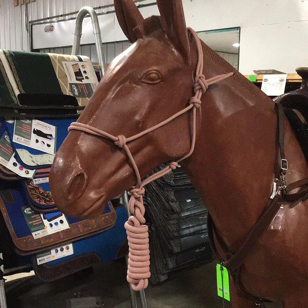 Irvine Rope Halter w/Matching Lead Rope - Image 21