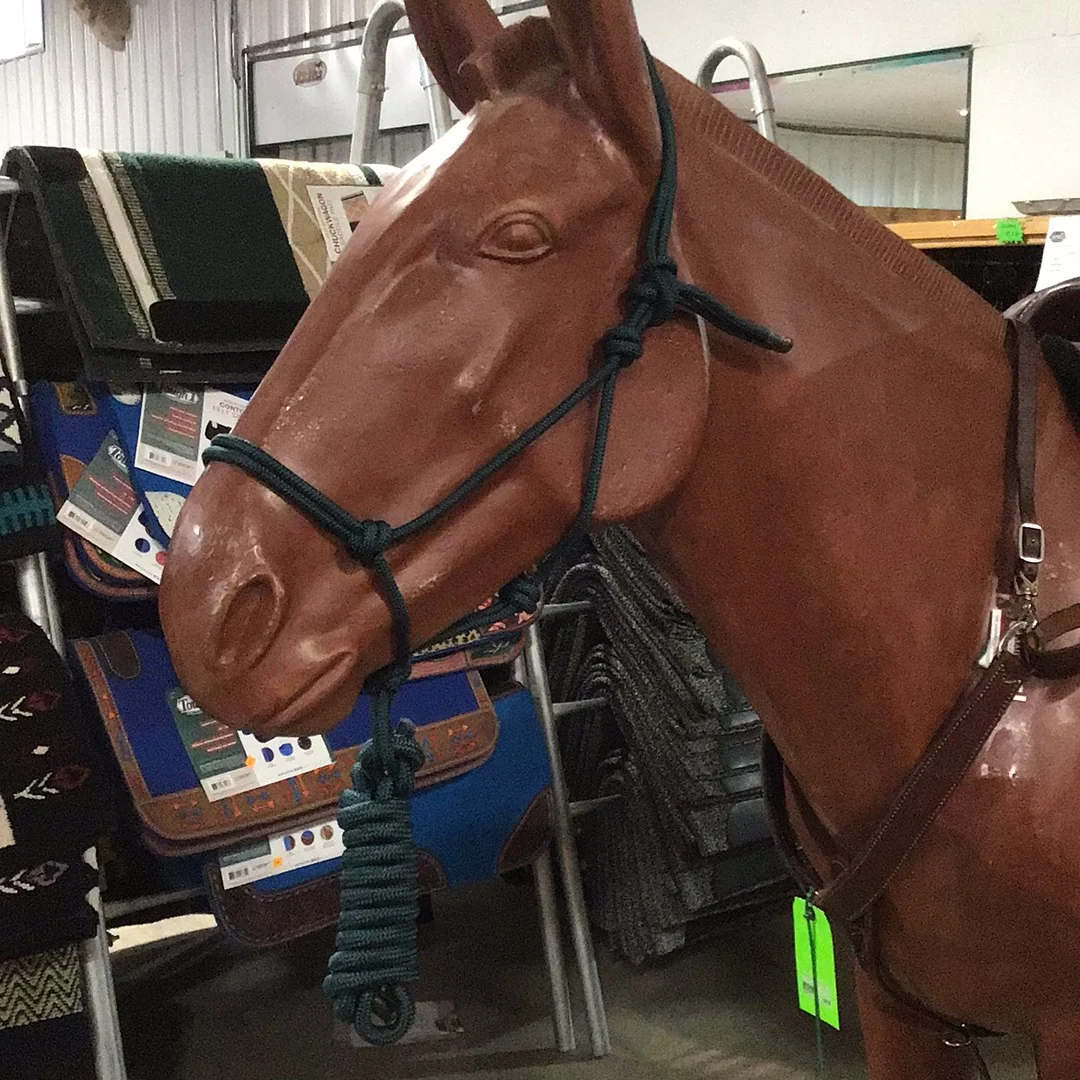 Irvine Rope Halter w/Matching Lead Rope - Image 22