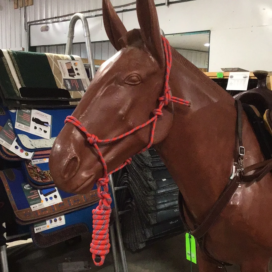 Irvine Rope Halter w/Matching Lead Rope - Image 23