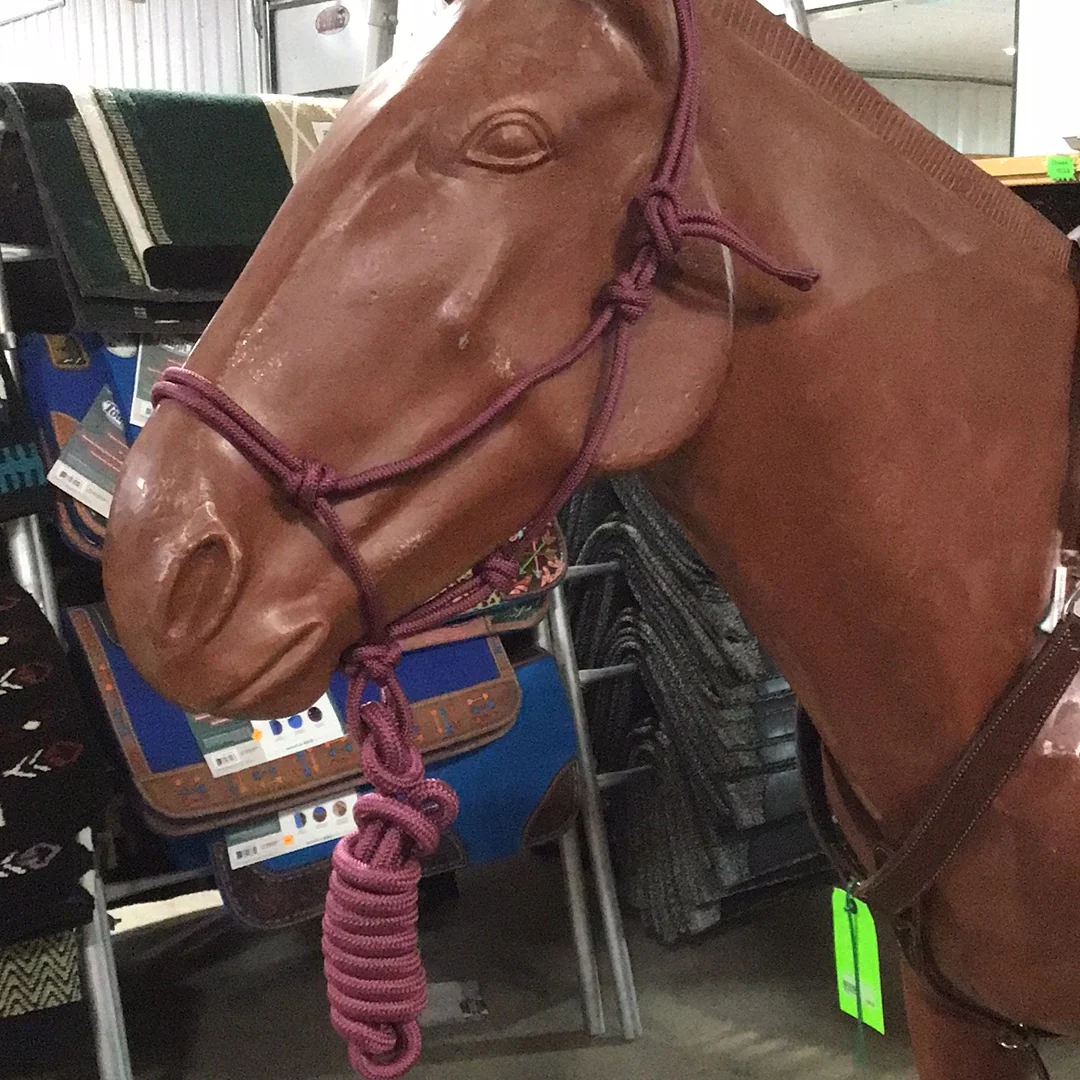Irvine Rope Halter w/Matching Lead Rope - Image 25
