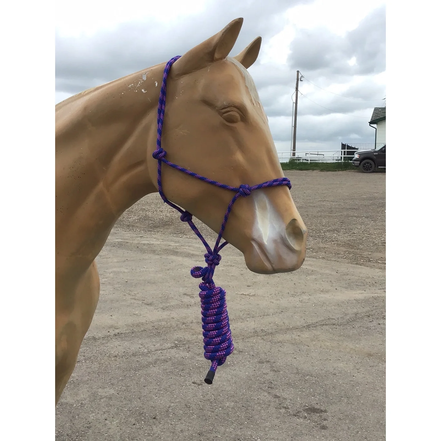 Irvine Rope Halter w/Matching Lead Rope - Image 3