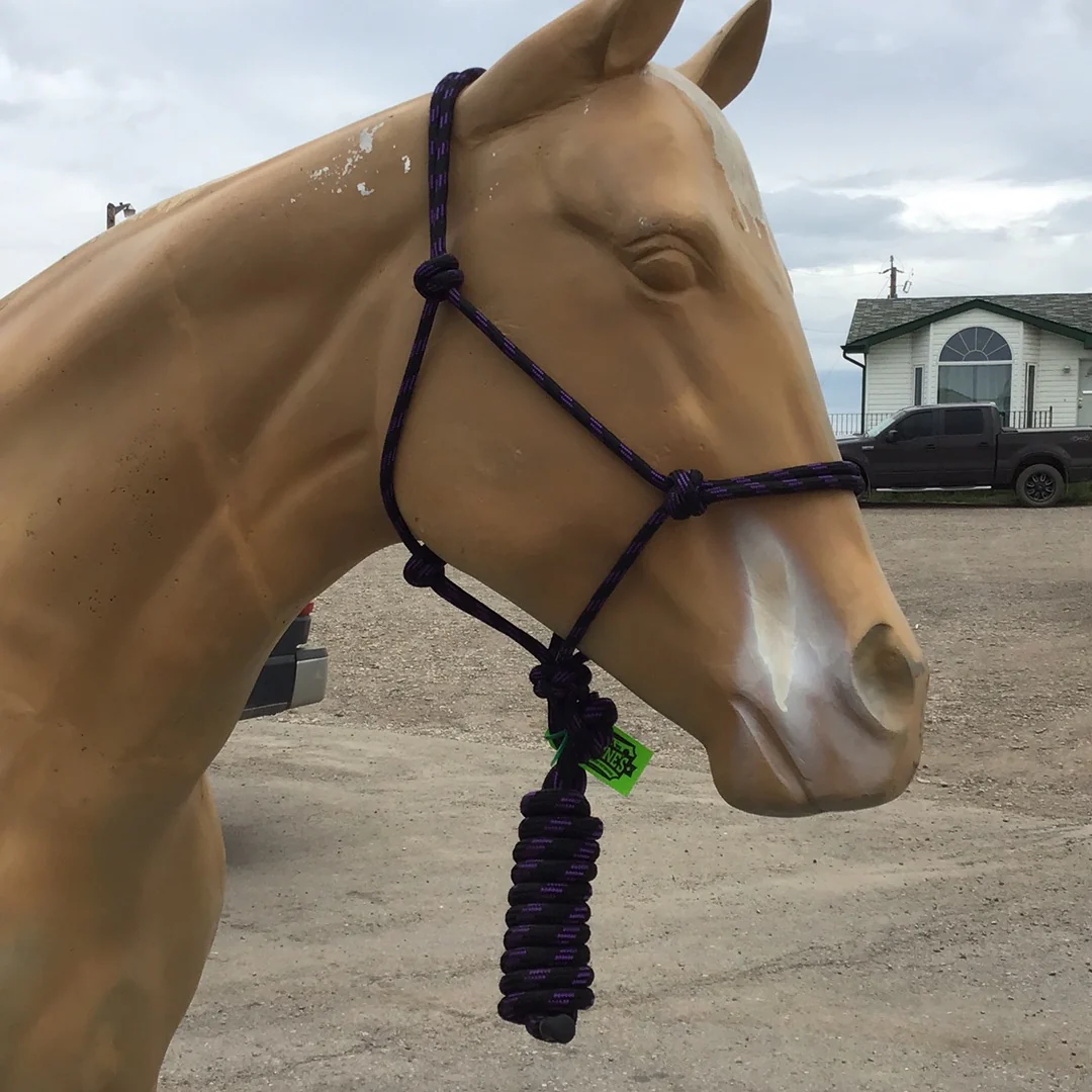 Irvine Rope Halter w/Matching Lead Rope - Image 5