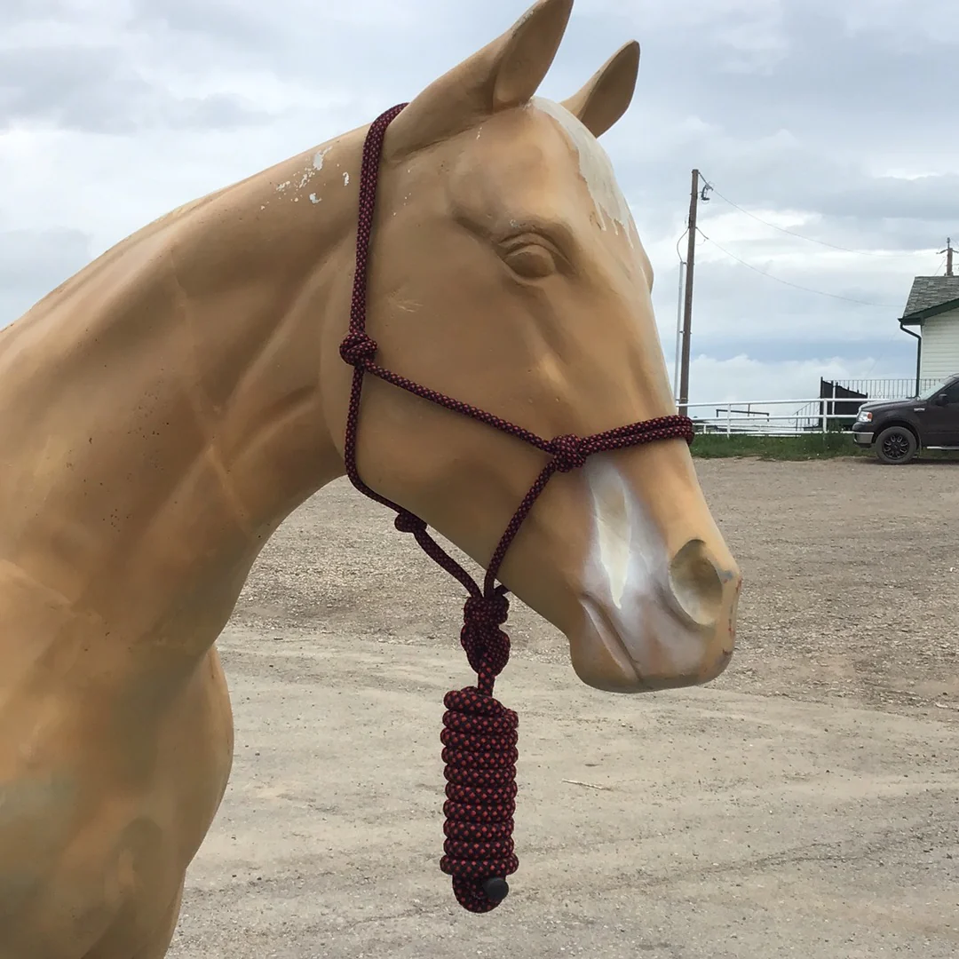 Irvine Rope Halter w/Matching Lead Rope - Image 6