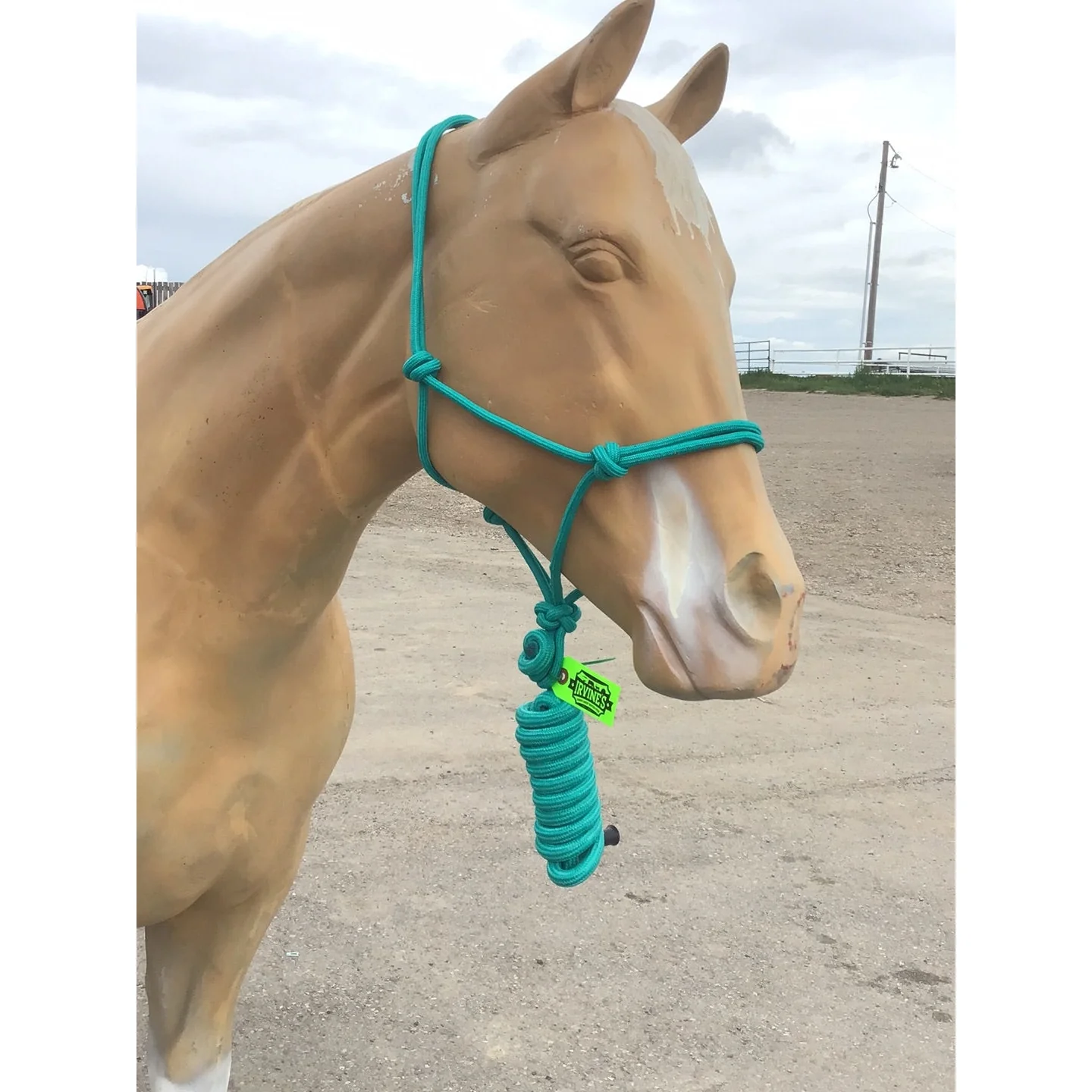 Irvine Rope Halter w/Matching Lead Rope - Image 7
