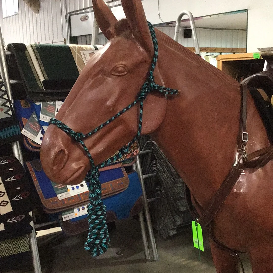 Irvine Rope Halter w/Matching Lead Rope - Image 9
