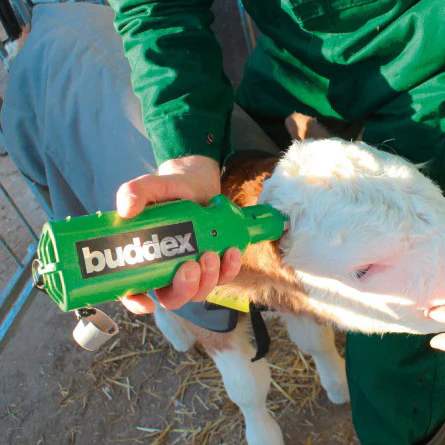 Kerbl Buddex battery Operated Horn Remover - Image 2