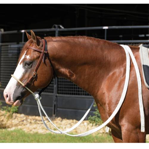 Professional Choice Loping Hack RWHD Nose MT Rein