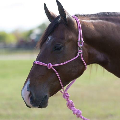 Professionals Choice Easy On Rope Halter-Mini-Multiple Colours - Image 2