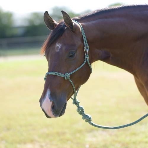 Professionals Choice Easy On Rope Halter-Mini-Multiple Colours - Image 3