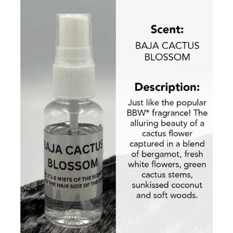 ReSCENTit Car Scents Sprays - Image 3
