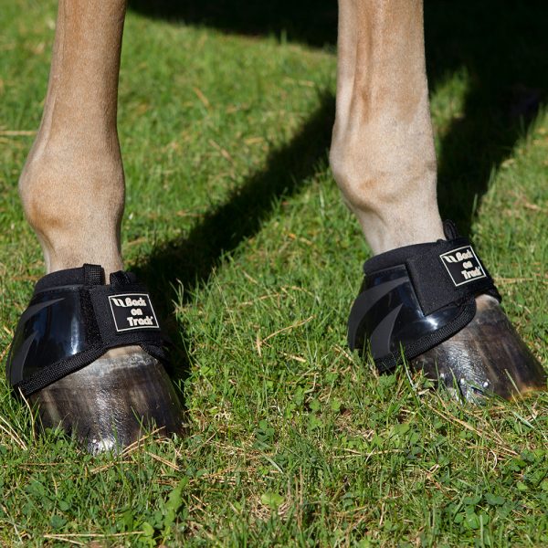 Back On Track Royal Performance Bell Boots - Image 2