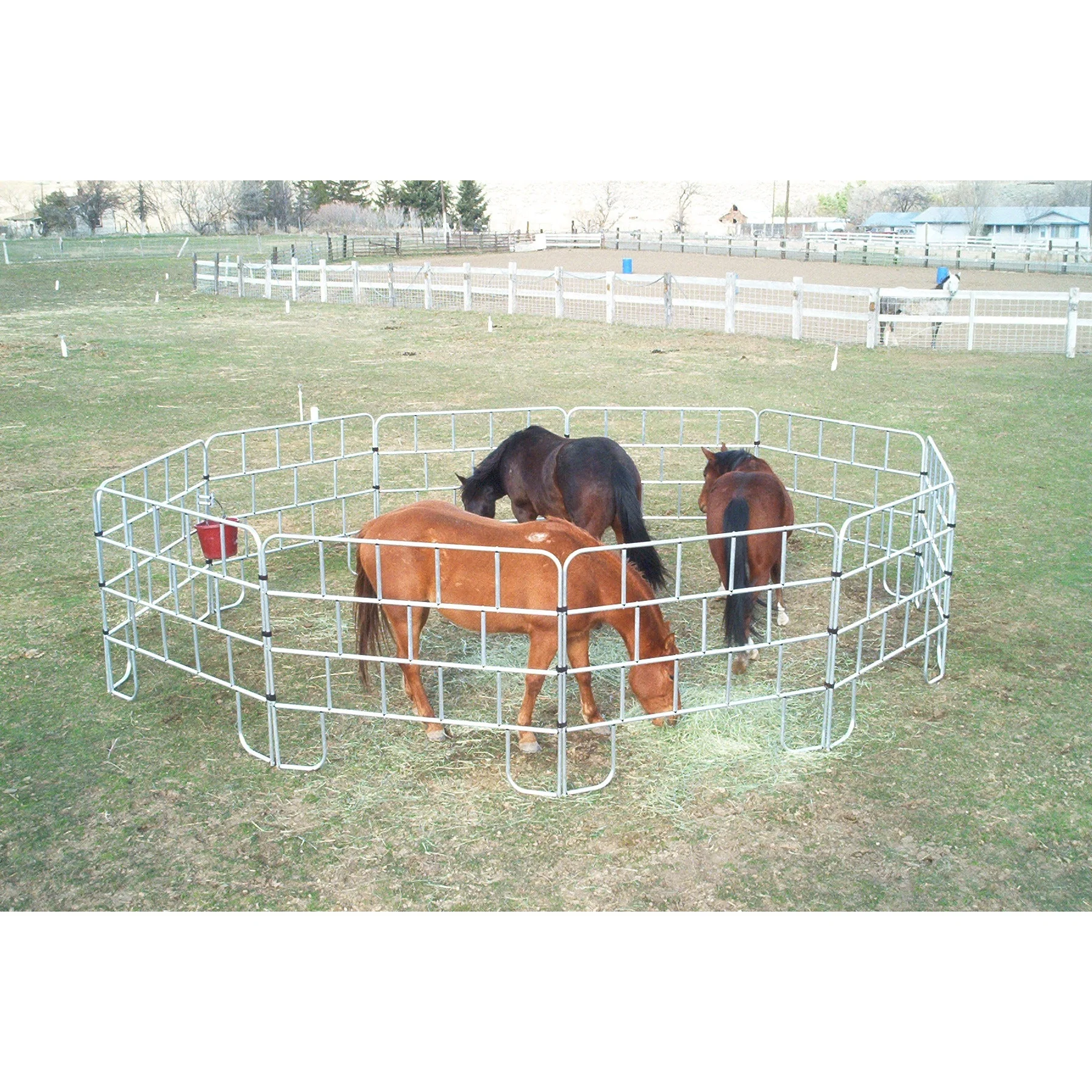 Irvine Travel Panels - Set of 8