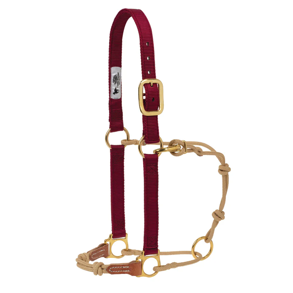 Weaver Horseman's Halter - Large - Multiple Colours - Image 2