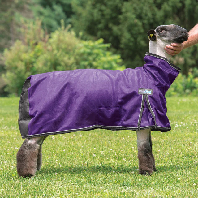 Weaver ProCool™ Mesh Sheep Blanket with Reflective Piping - Image 3