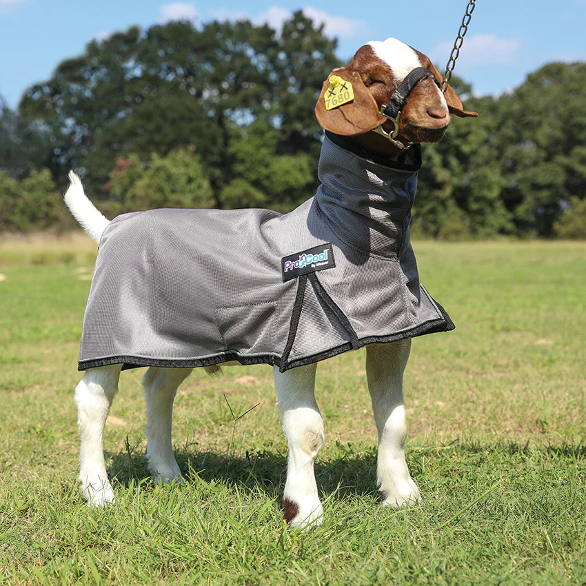 Weaver ProCool Goat Blanket w/Reflective Piping & Mesh Butt - LARGE - Image 3