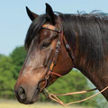 Weaver Turquoise Cross Headstall, Floral Buckstitch, 5/8" - Image 4