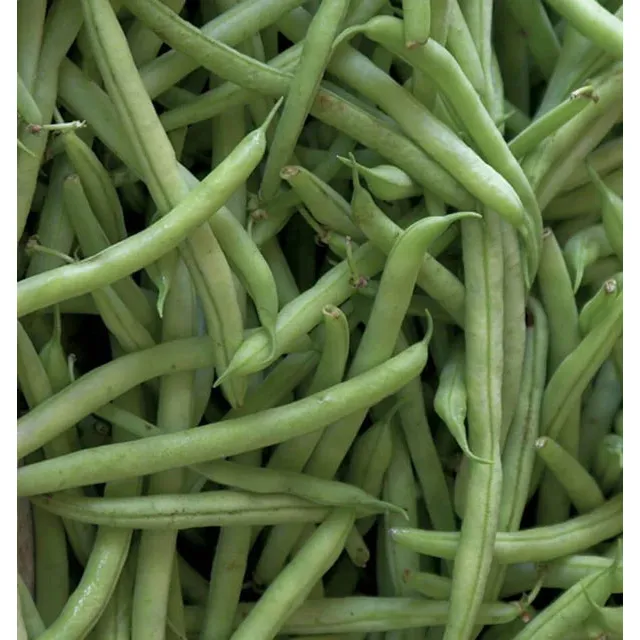 West Coast Seeds Beans - Kentucky Blue 20g
