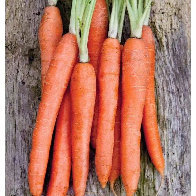 West Coast Seeds Carrots - Nantes Coreless 0.75g