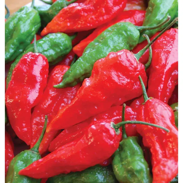 West Coast Seeds Vegetable - Pepper-Hot - Ghost Chili  10 Seeds