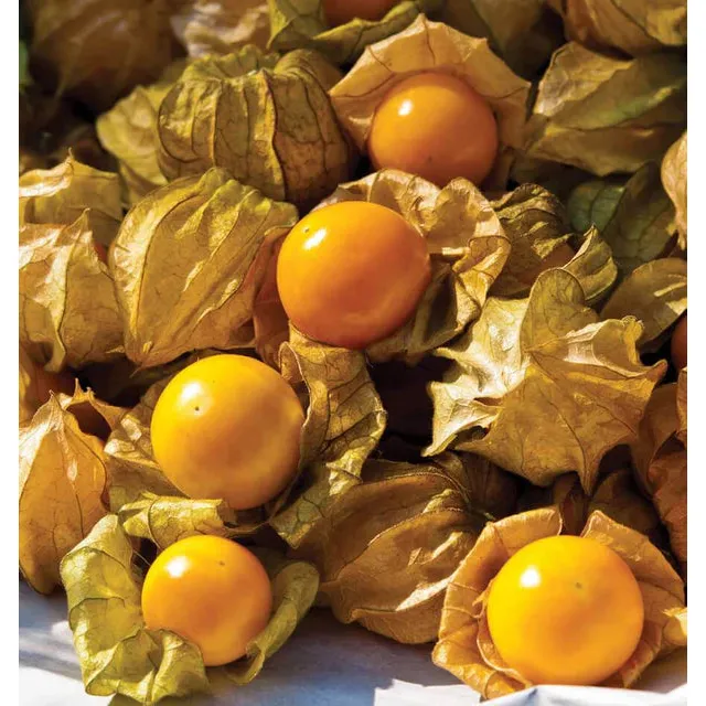 West Coast Seeds Vegetable - Tomatillo - Aunt Molly's Ground Cherry 0.1g