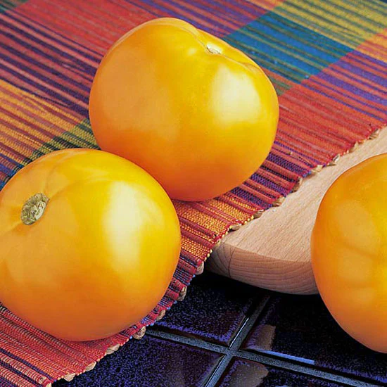 West Coast Seeds Vegetable - Tomatoes - Carolina Gold F1 10 Seeds