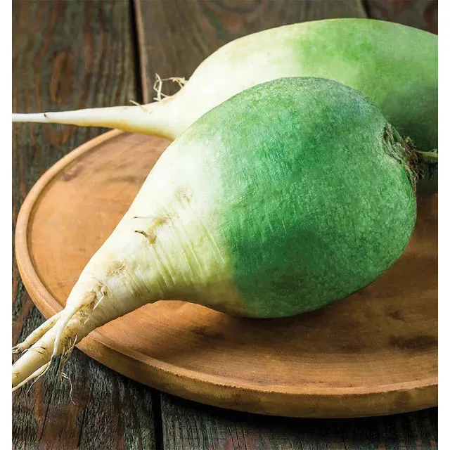 West Coast Seeds - Vetetable Seeds - Wasabi Radish 0.5g