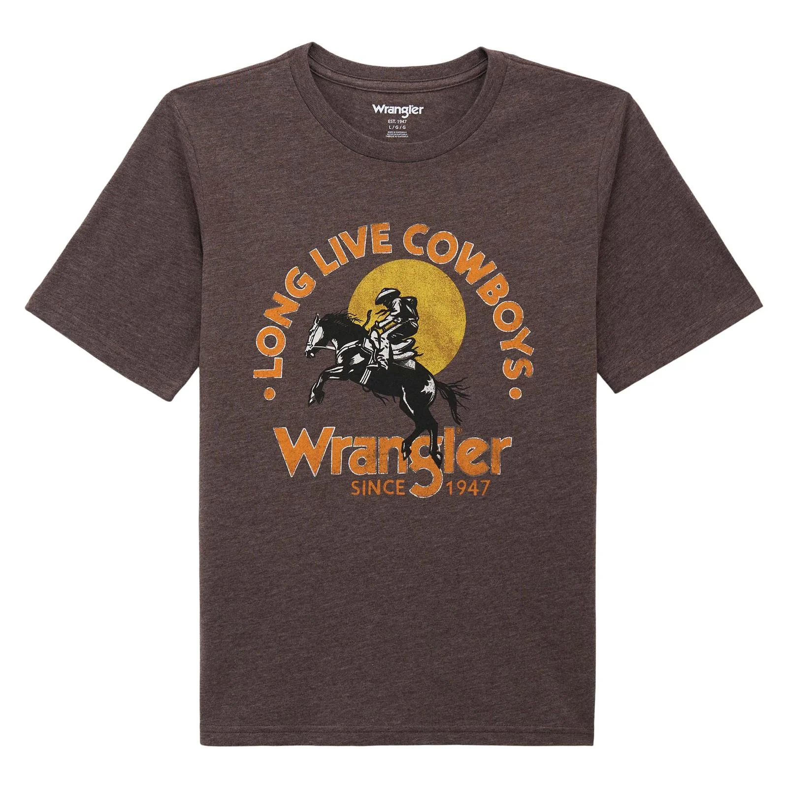 Wrangler Boy's Graphic Short Sleeve Tee Shirt - Mole Heather